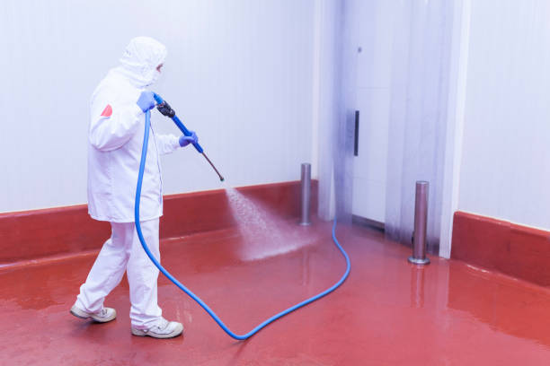Best Restaurant Pressure Washing  in Lacey, WA