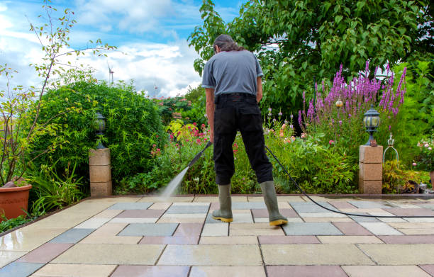 Trusted Lacey, WA Pressure Washing Services Experts