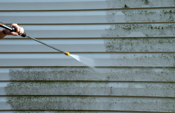 Paint Preparation in Lacey, WA